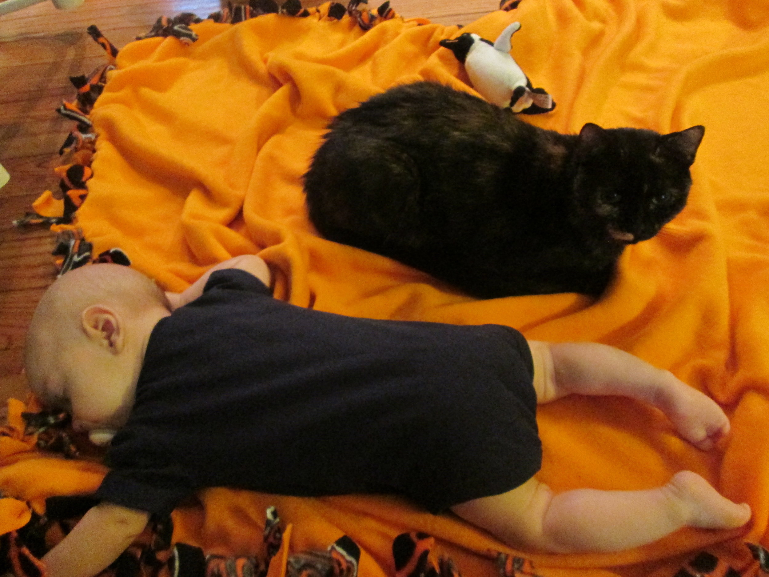 Günther resting, no longer able to tolerate Taco