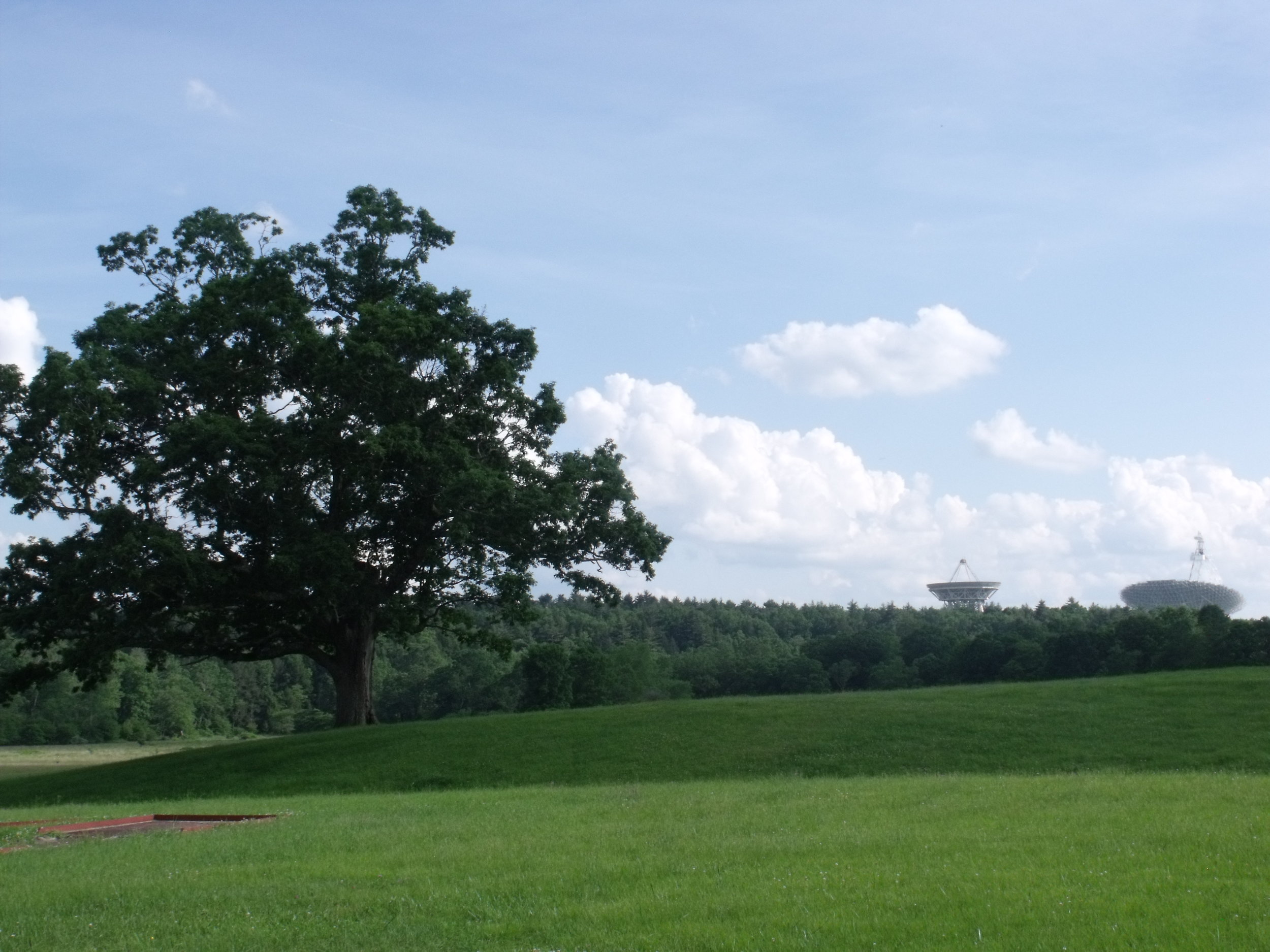 The perfect view, from Hannah House, where Green Bank summer students live during their research assistantships. (July 2013)
