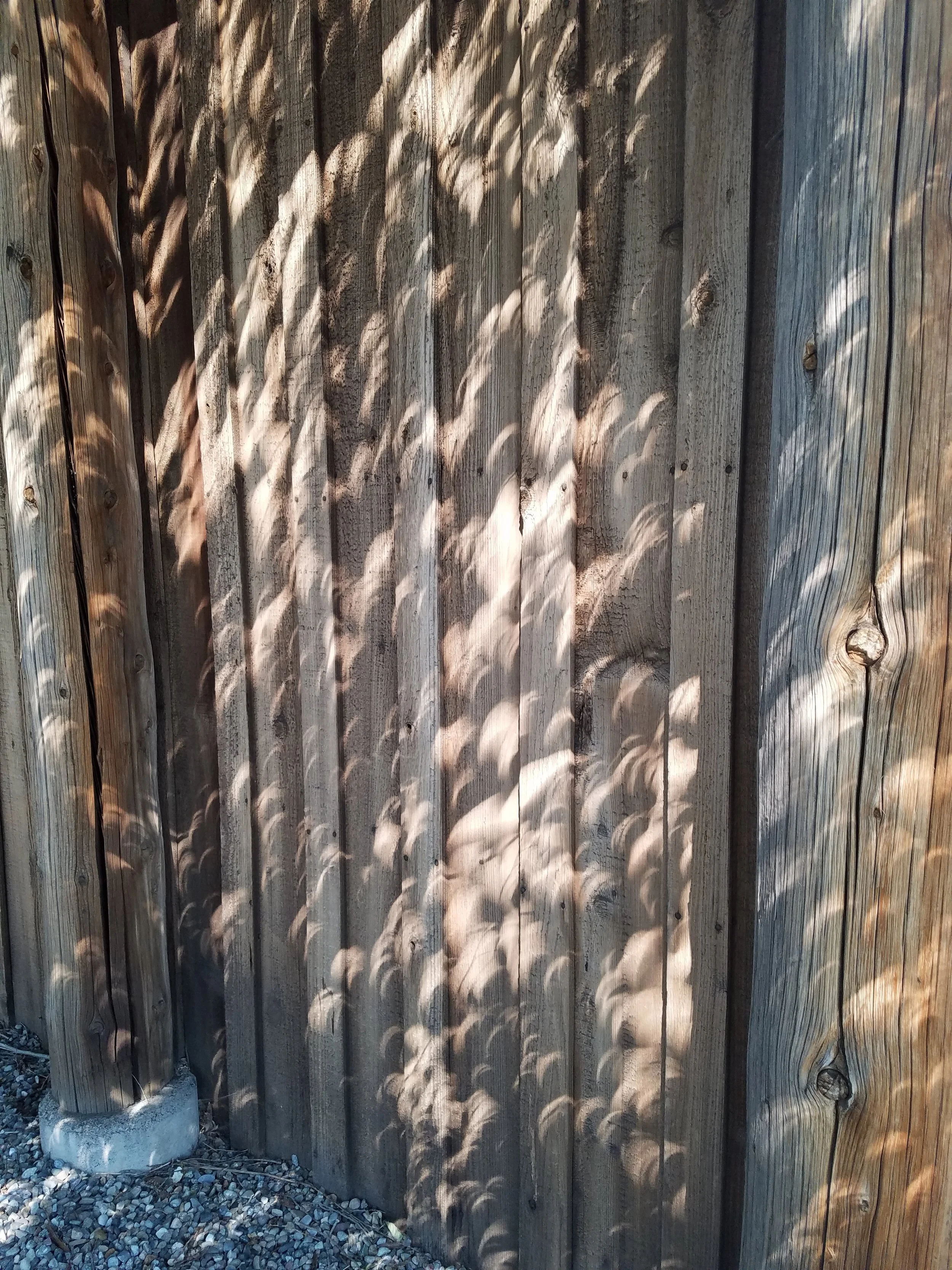 Shadows