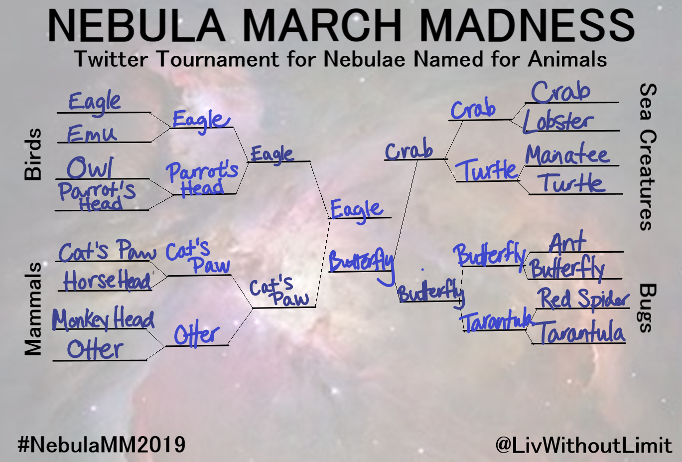 NebulaMarchMadness2019_rnd4.png