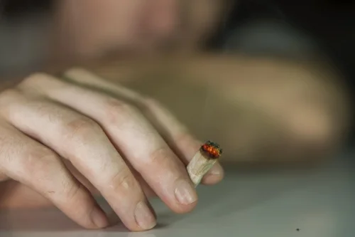 Is Marijuana Addictive?