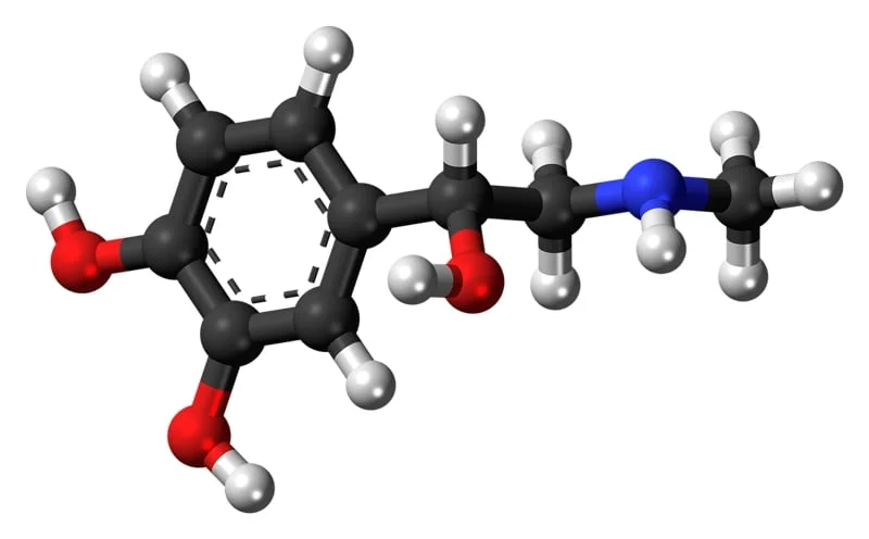 Link Between Alcohol Addiction and Your Hormones