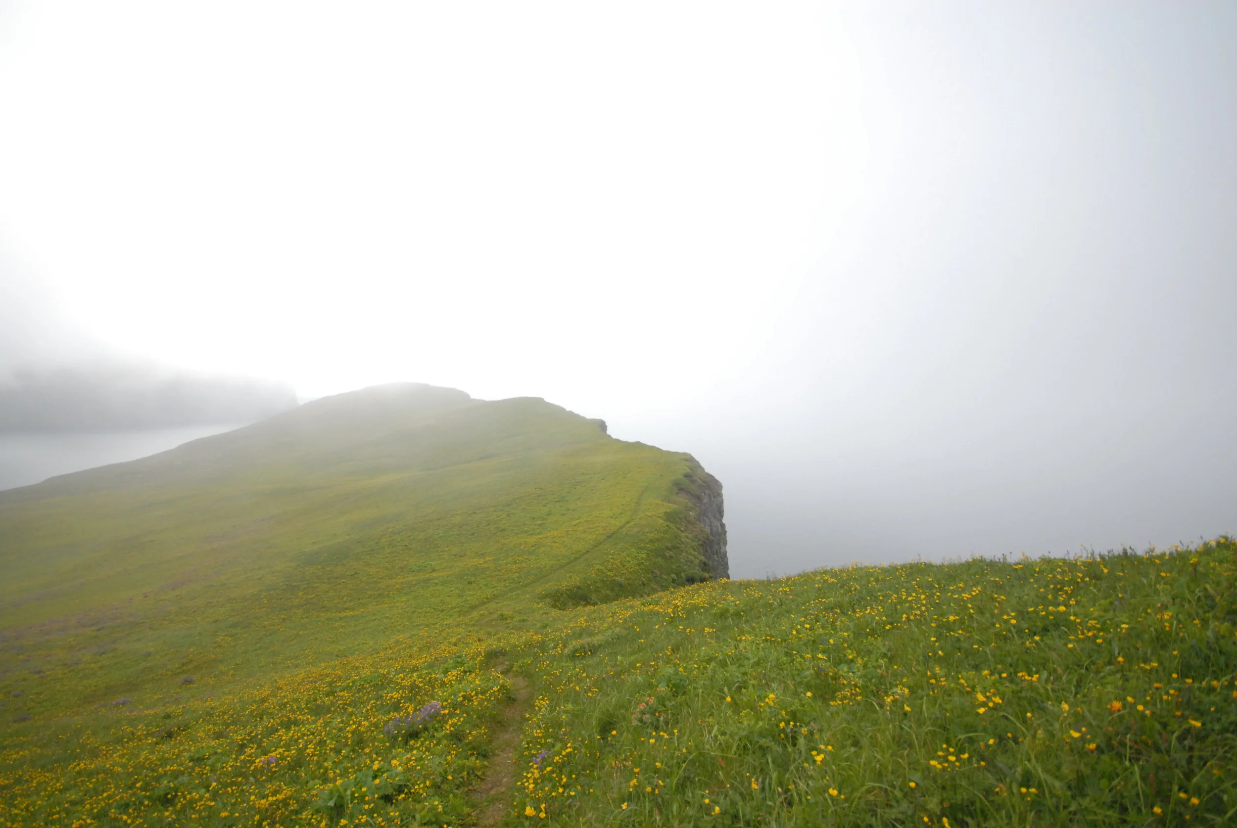 Sailing in the Westfjords of Iceland