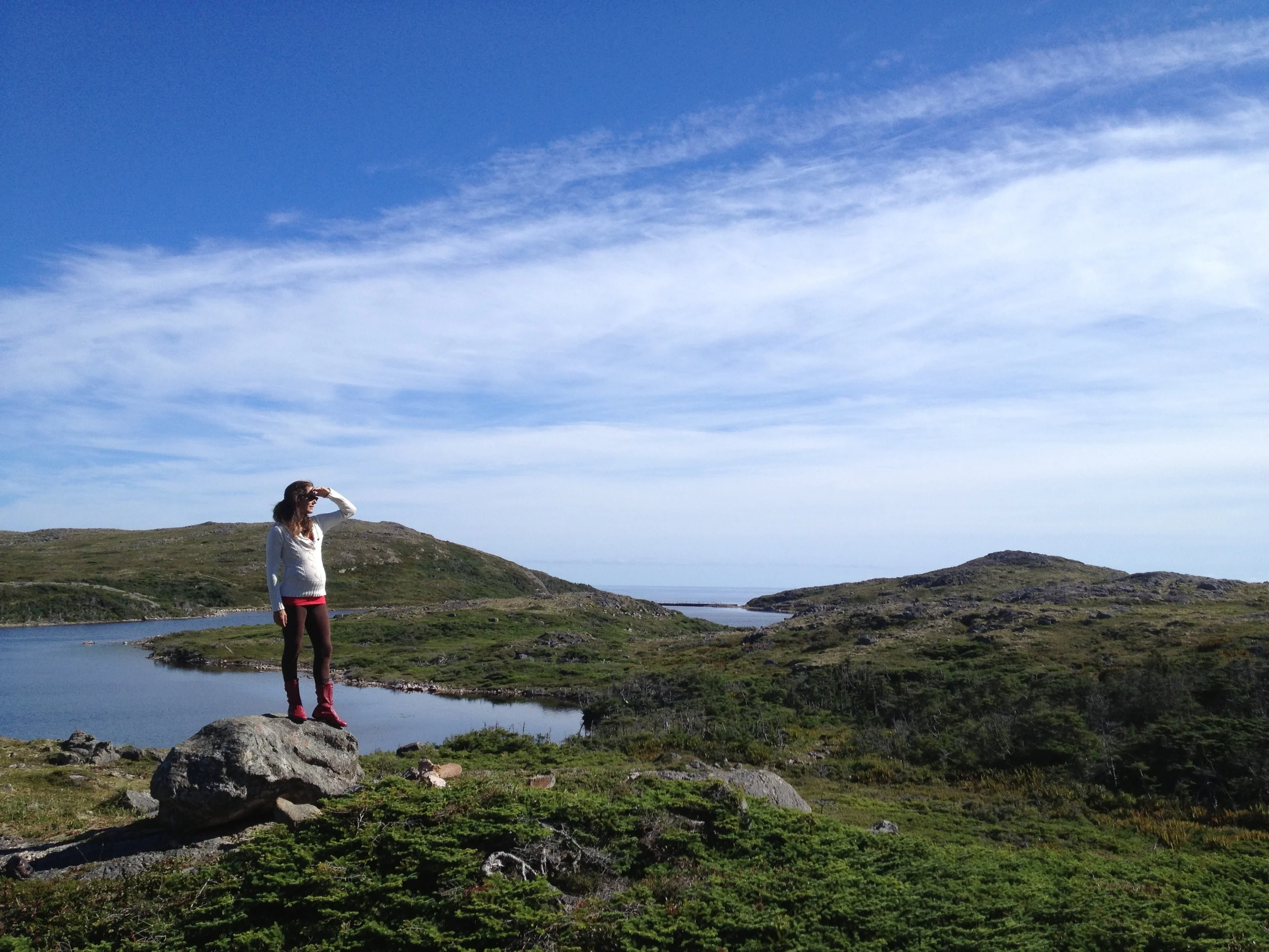 Saint-Pierre to Newfoundland