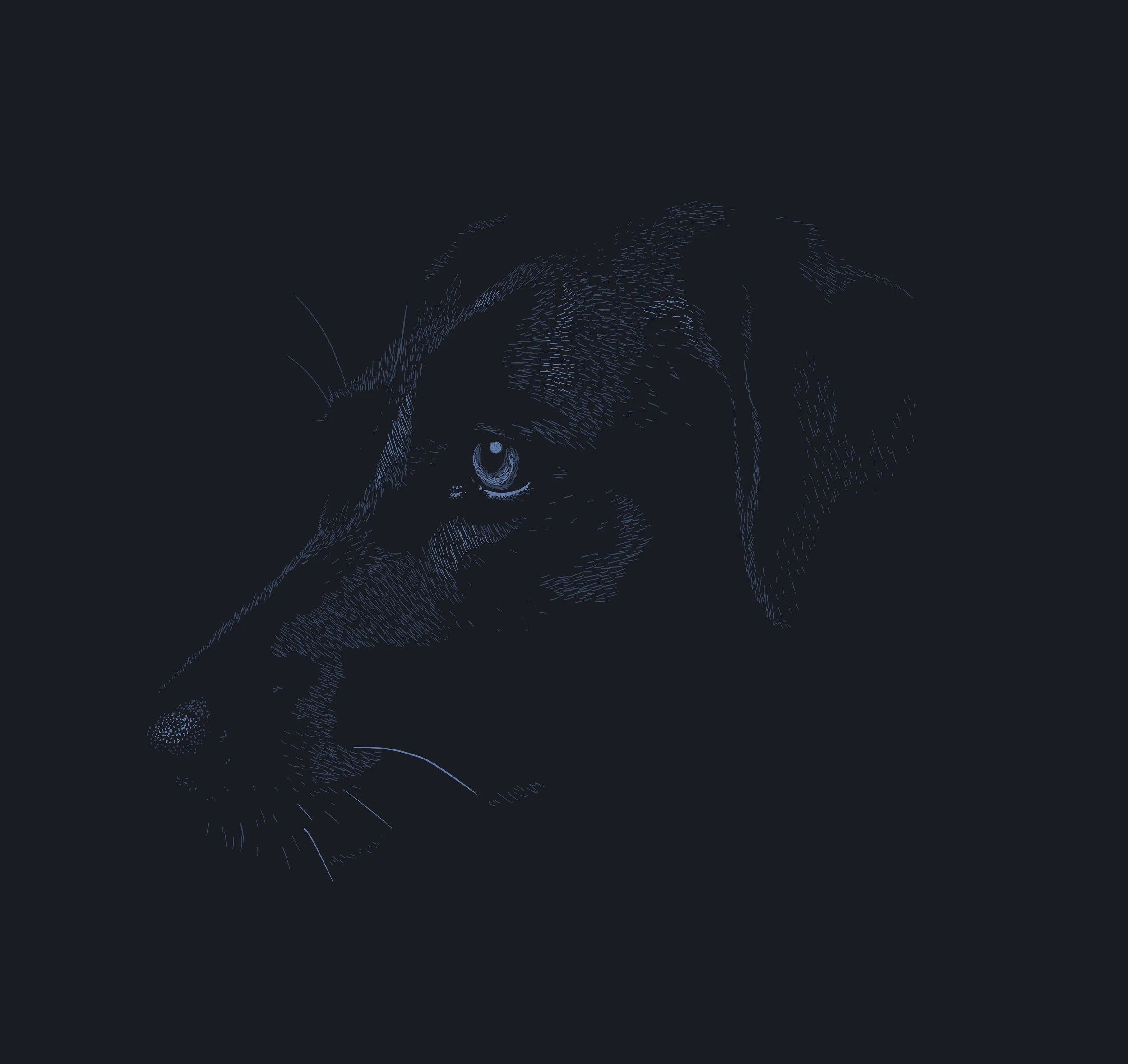 Lab Face.jpg