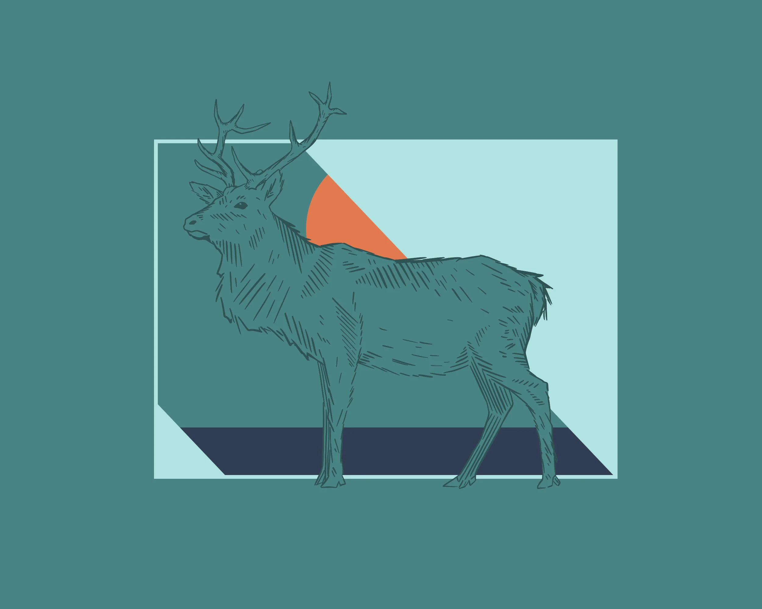 Elk Drawing.jpg