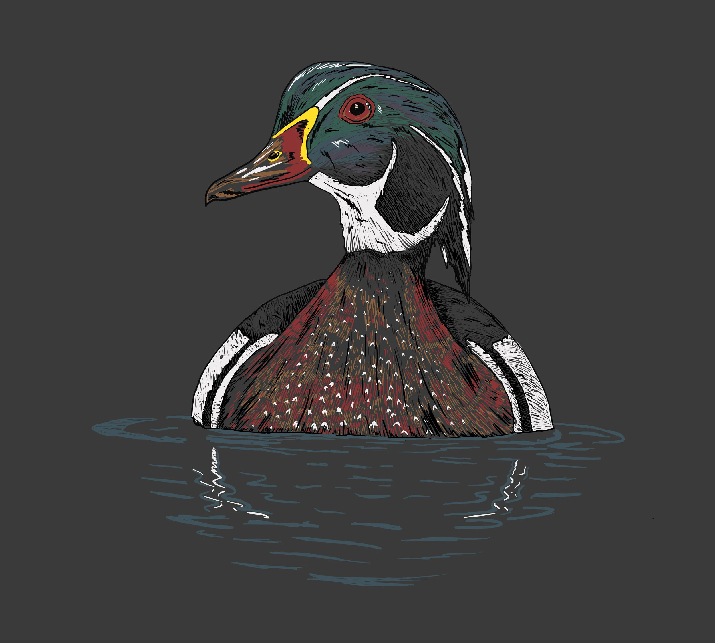 duck.jpg