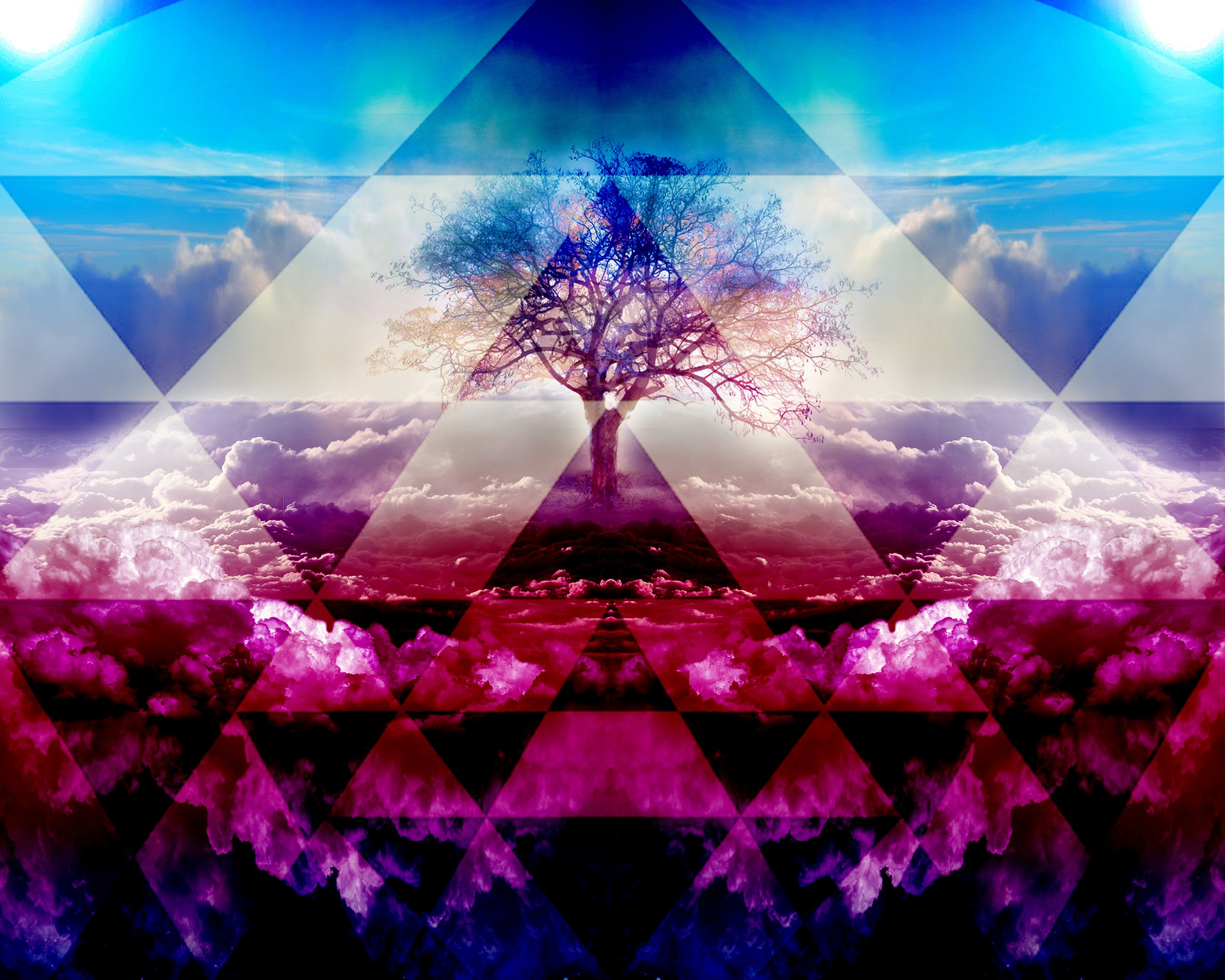 sharp_tree_2.jpeg
