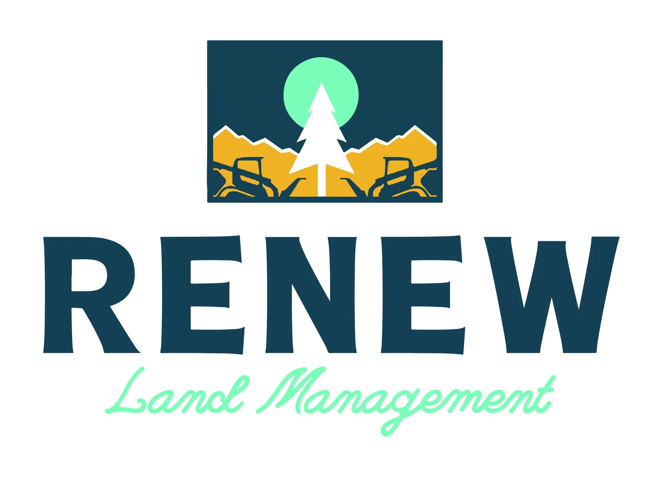 Renew_Logo+copy.jpeg
