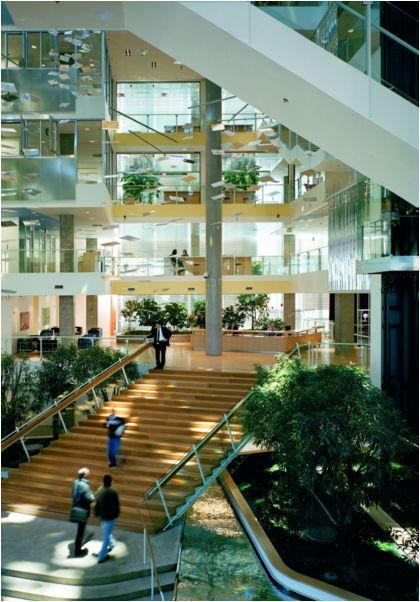 Central Atrium, Genzyme Building, Cambridge, MA – The creative interplay of natural lighting, spaciousness, plants, and water in a central atrium can simulate the qualities of an exterior setting in an indoor space. Photo credit: Behnisch Architects; Phototographer: Anton Grassl/Esto