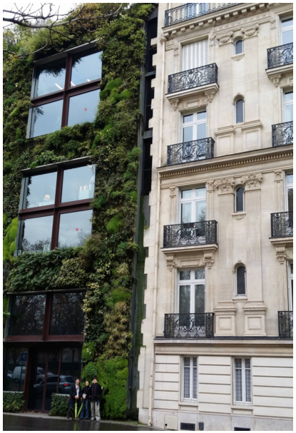 Green Wall adjacent to Masonry Wall, Paris – These contrasting building facades employ direct (plants) and indirect (masonry and grill work that mimic organic forms) strategies to achieve successful biophilic effects. Photo Credit: S.R. Kellert