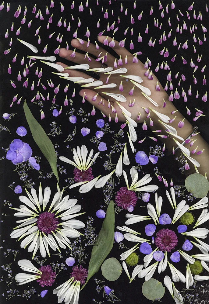 CMU Spring 2016, 11x8.5" digital print, Alternative Photographic Processes, Scannergram/Photogram Assignment. Students explore camera-less image making processes in the digital lab and the darkroom.