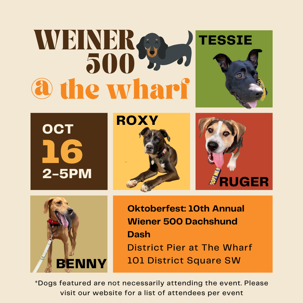 Weiner 500 — Rural Dog Rescue