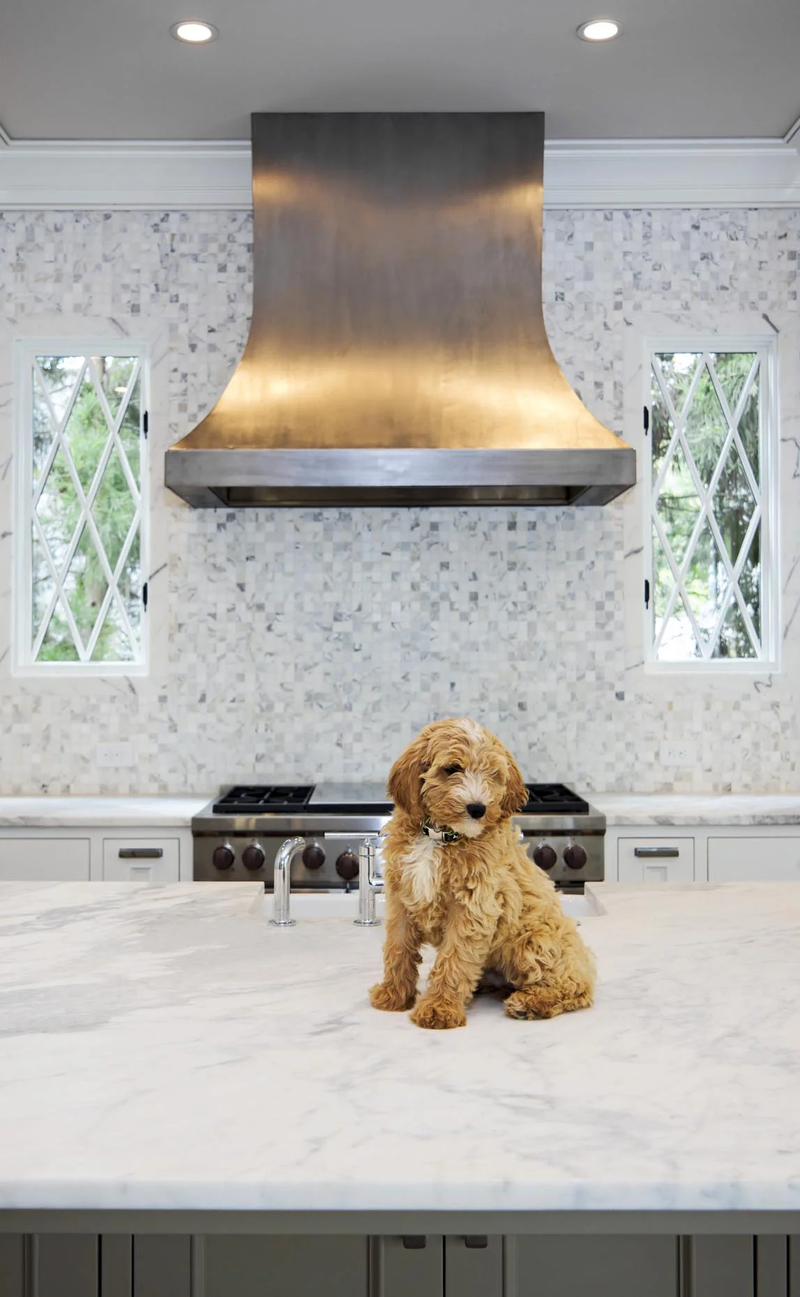 24_GolfCircle_Kitchen_06.jpg