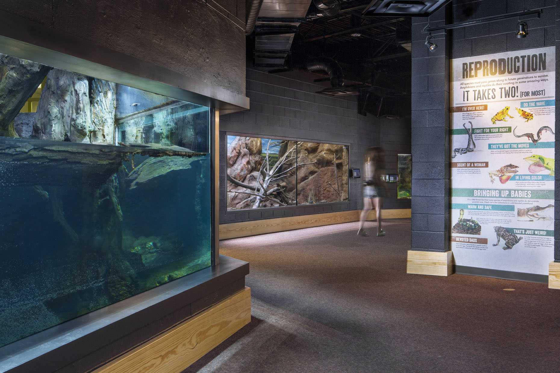 Zoo Atlanta - Reptile House // Client: Winter Construction & Drill Construction