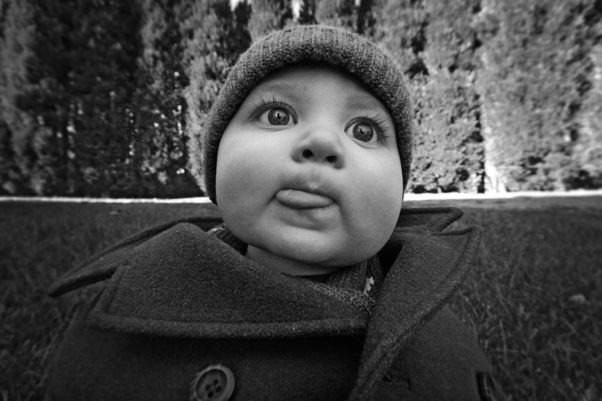 IMG_2808-e-bw.jpg