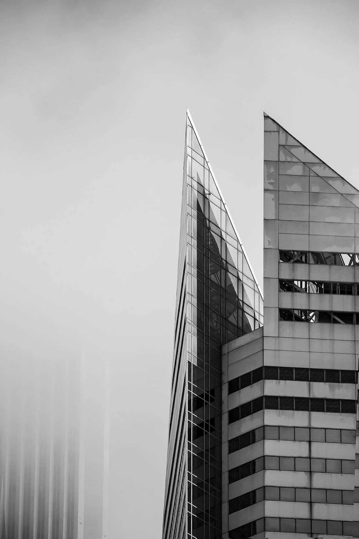 IMG_8872-e-bw.jpg
