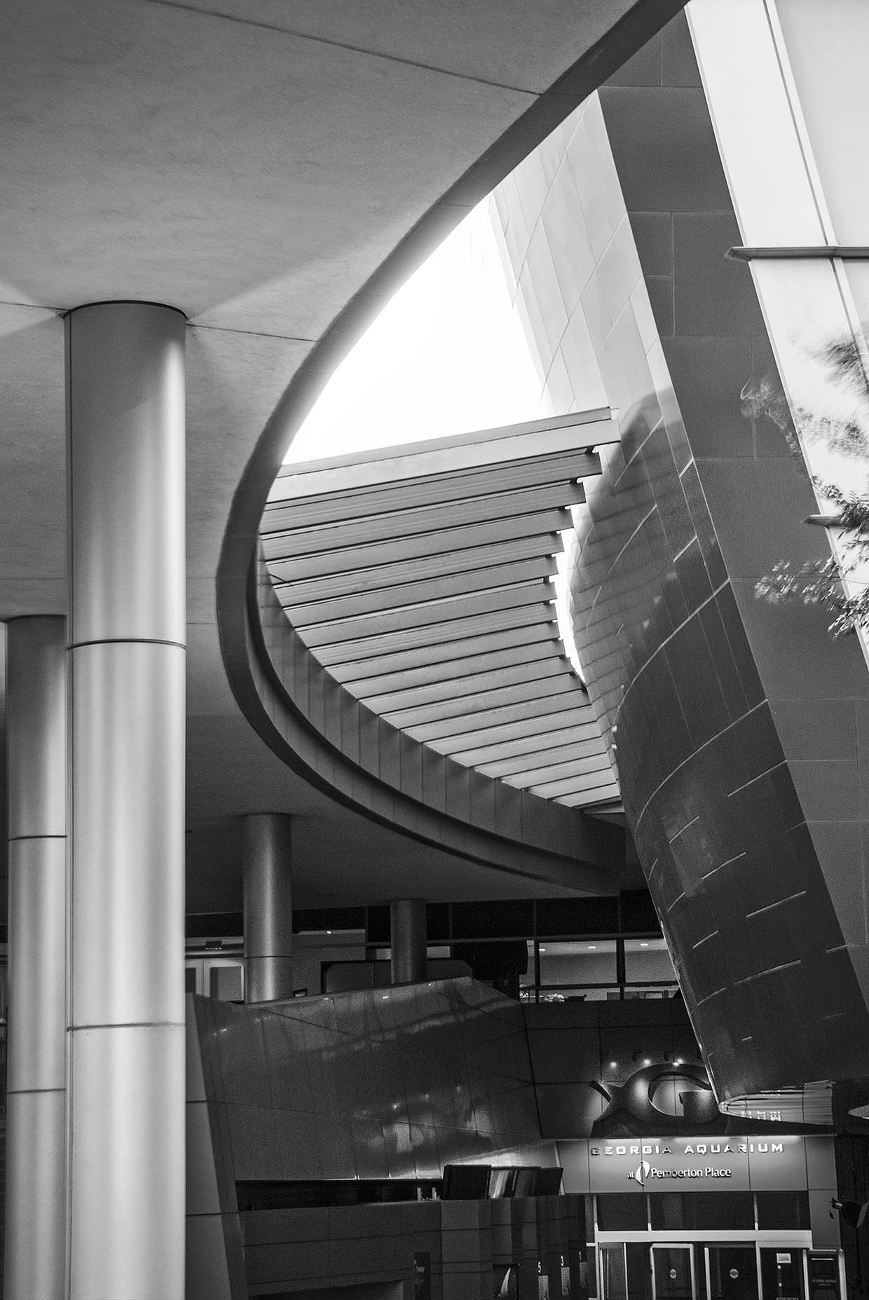 ATL_aquarium_04-bw.jpg