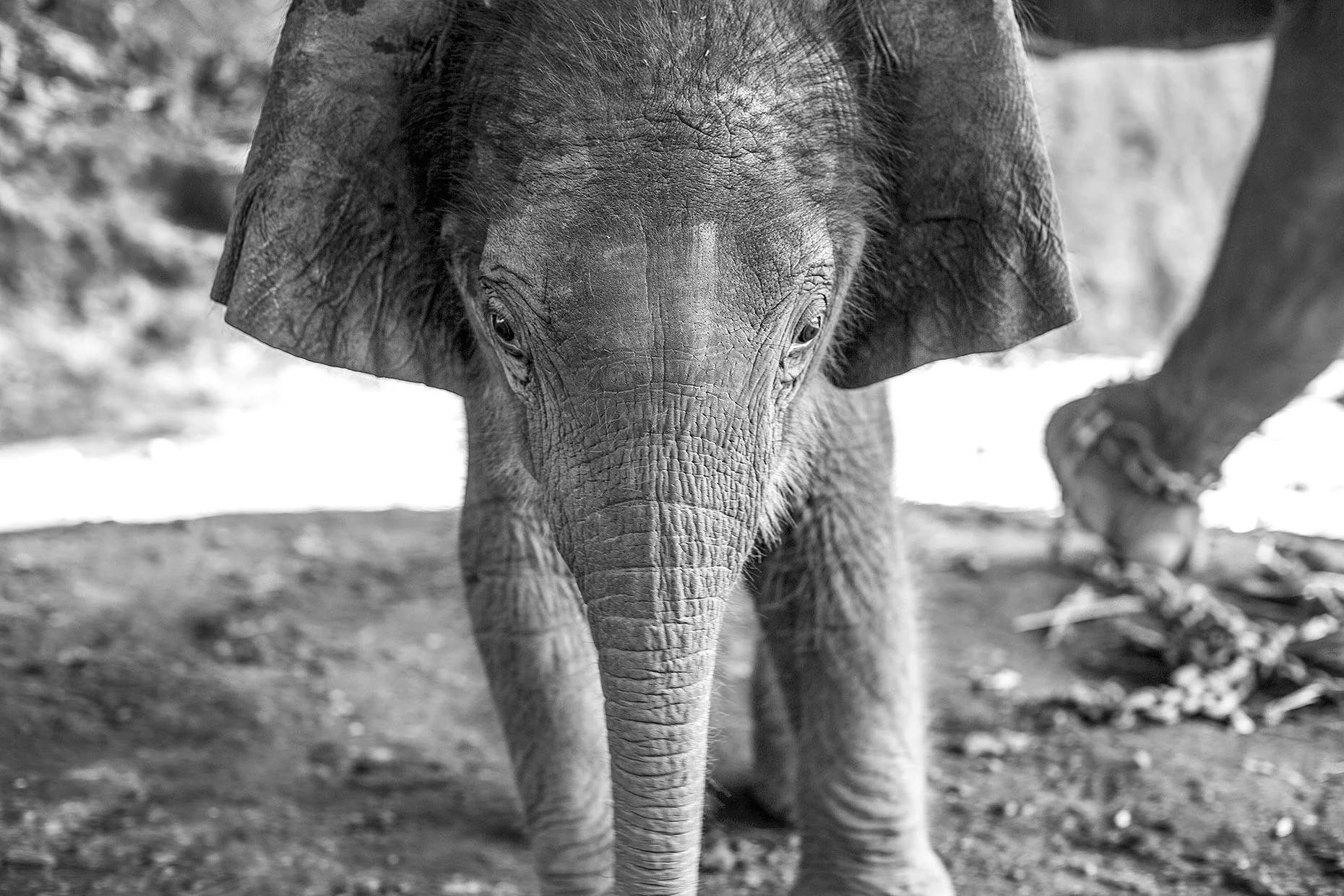 Thailand_0M2A9623-e-bw_webuse.jpg