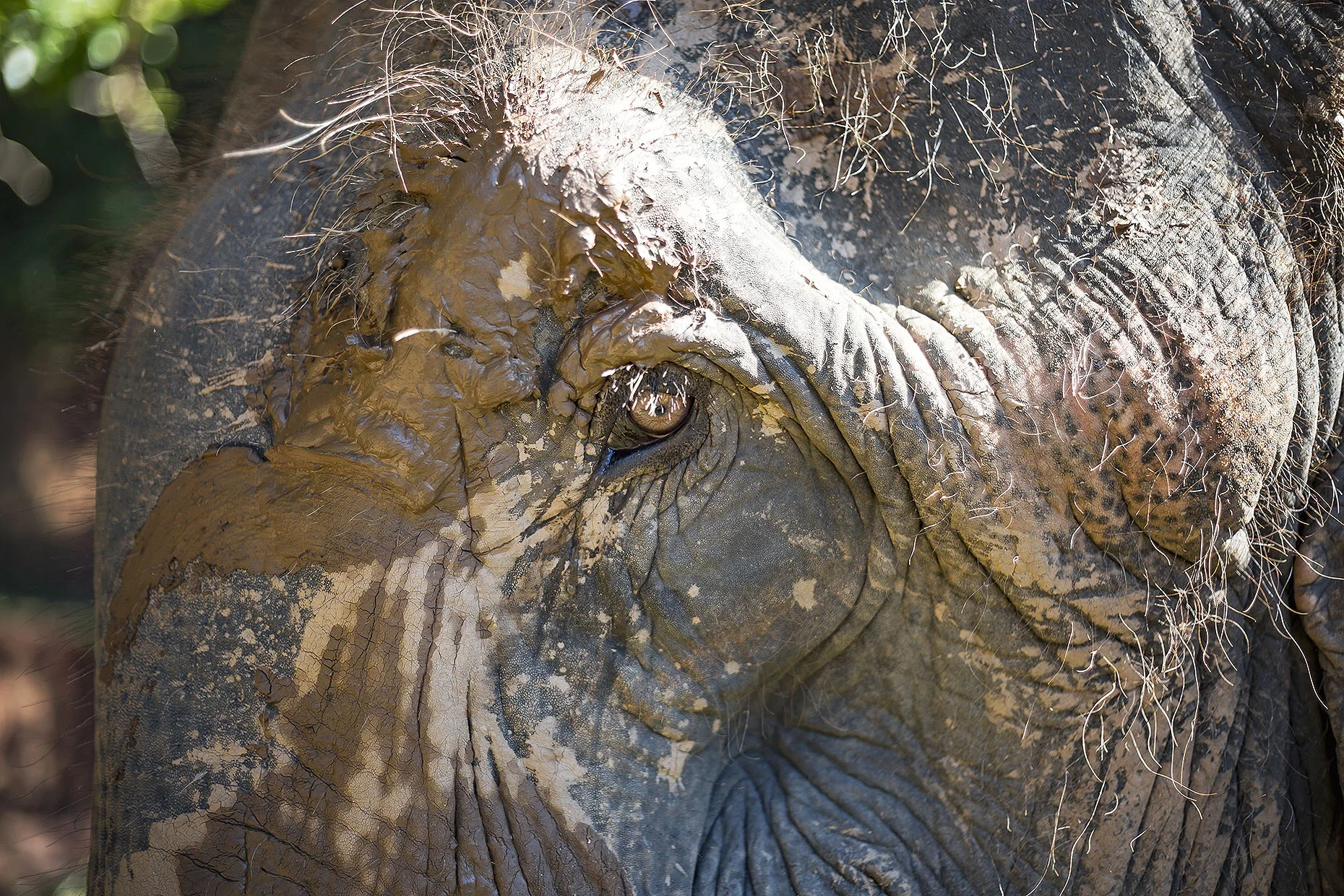 Thailand_0M2A9799-e_webuse.jpg