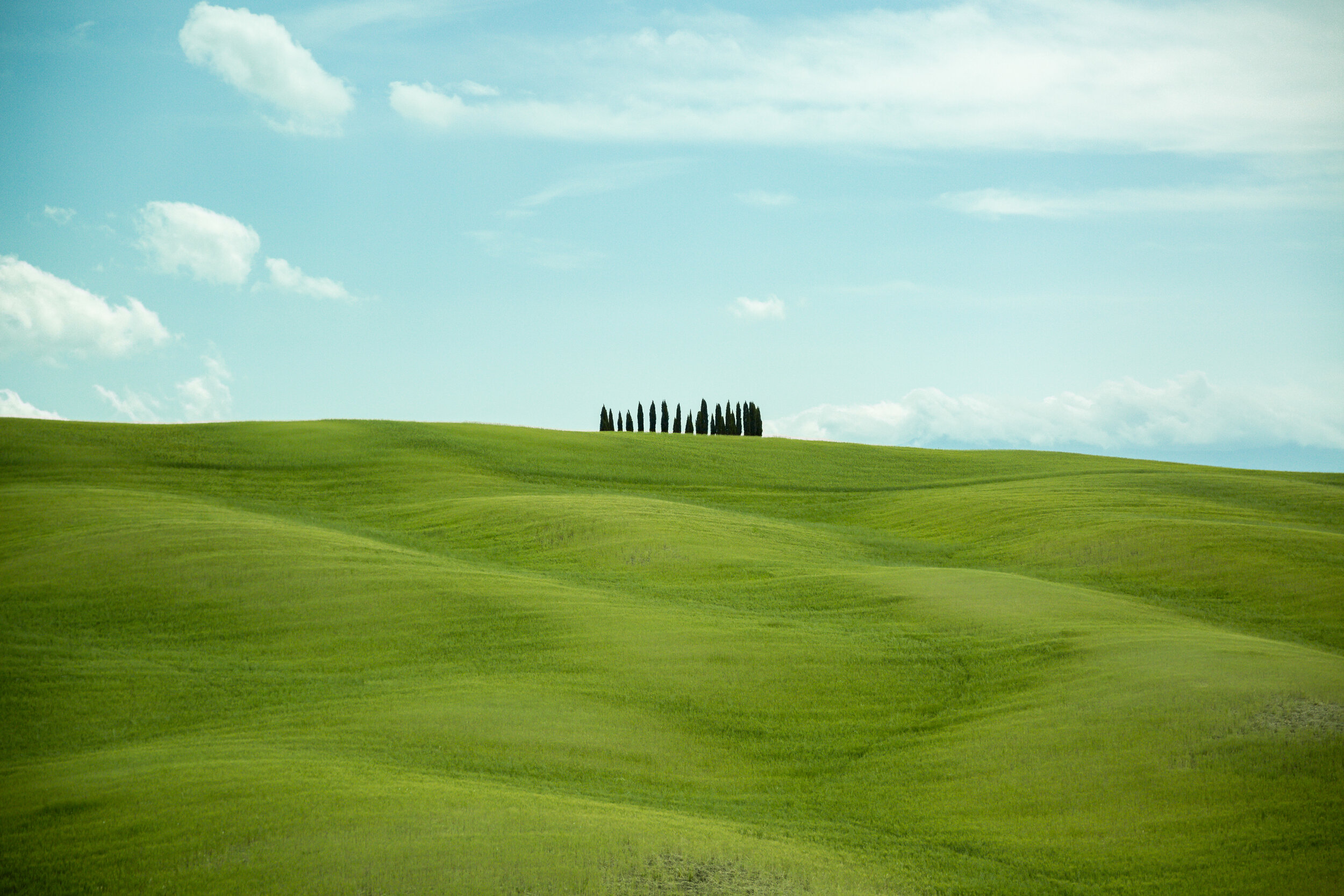 KBP_Italy_2019_5DMiii__6164_e.jpg