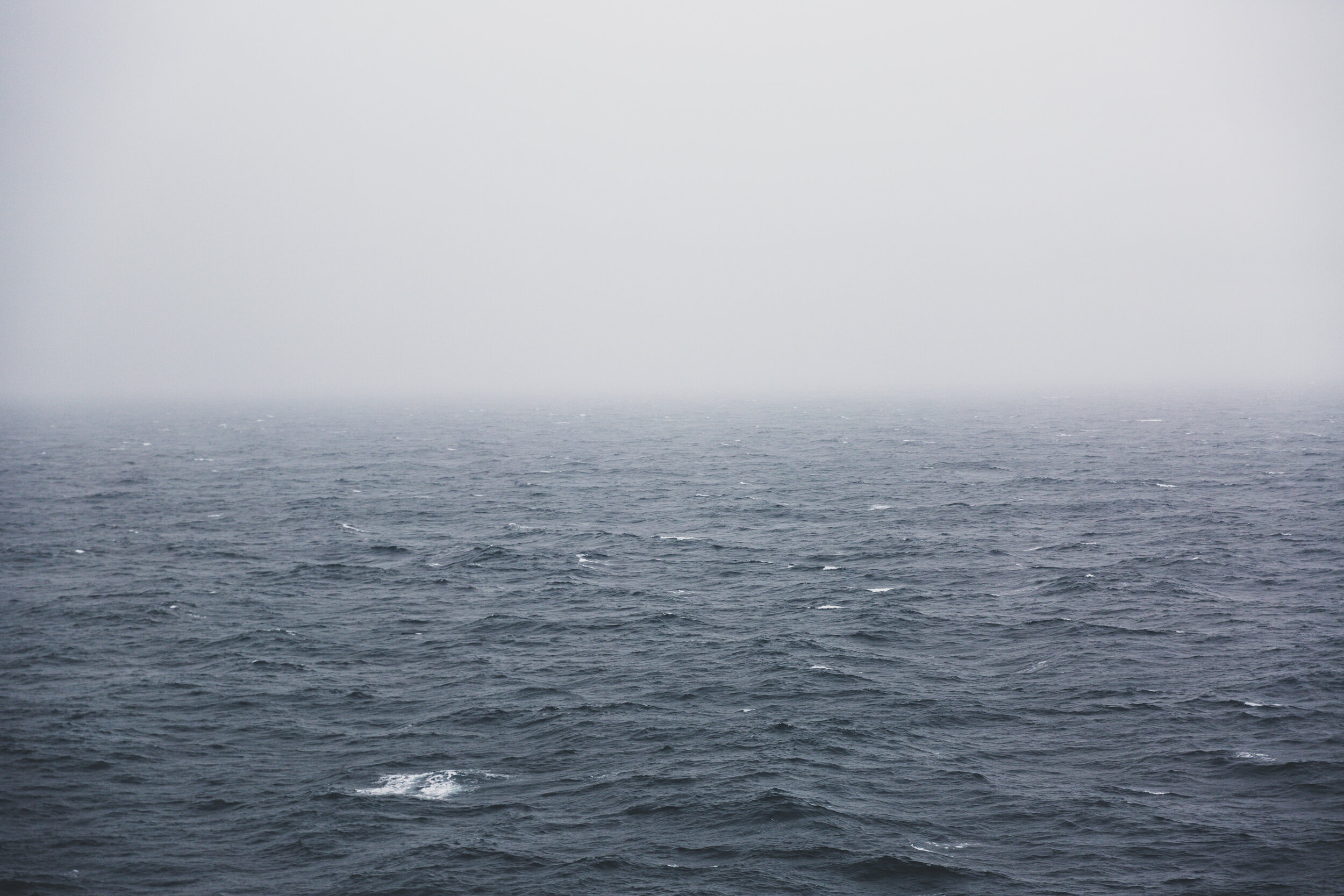 0M2A0083-e.jpg