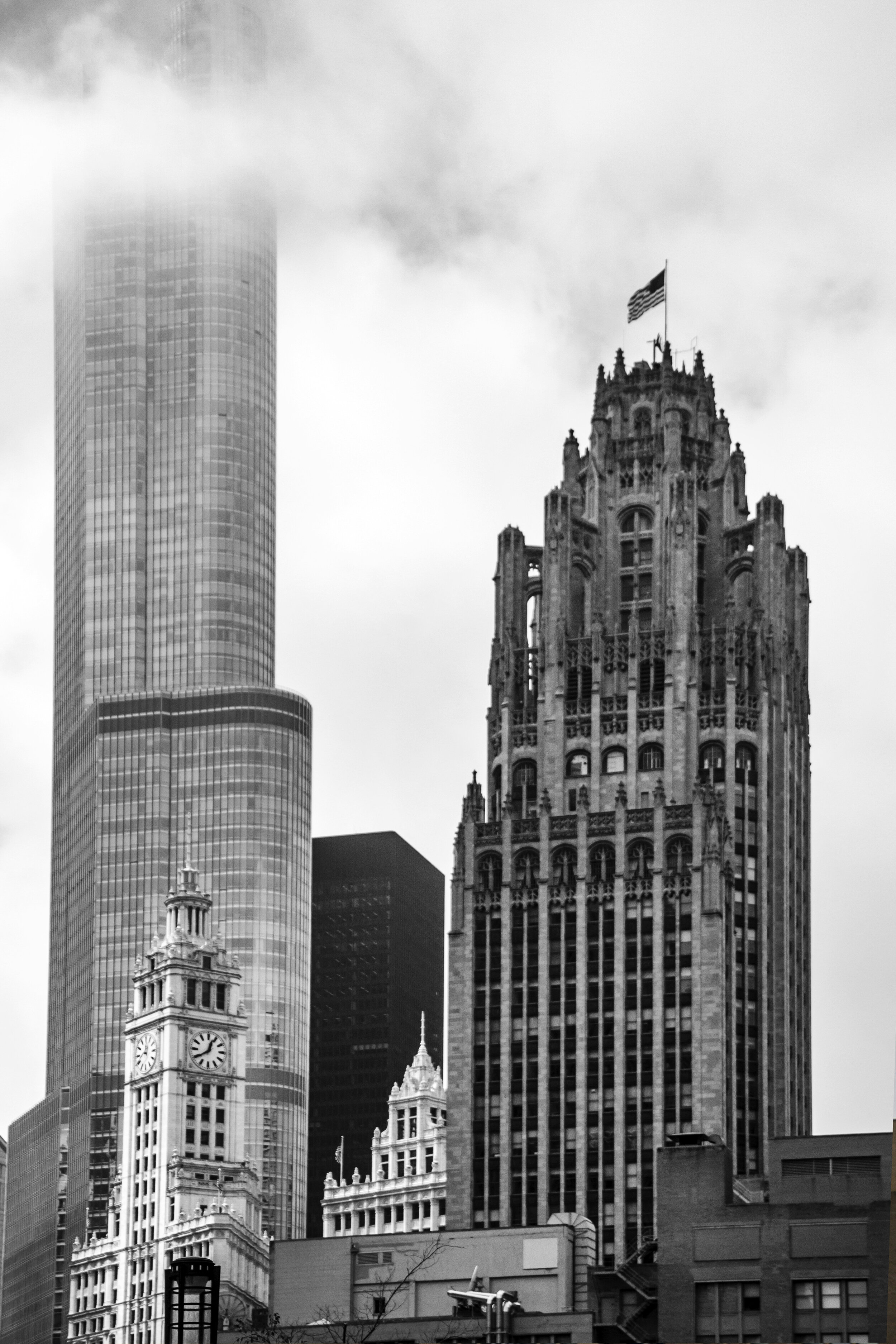 IMG_8848-e-bw.jpg