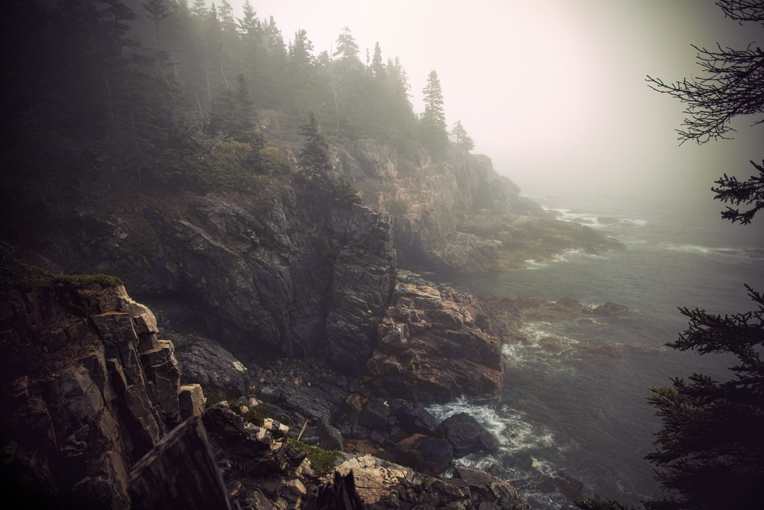 AcadiaFoggyCliffs_01.jpg