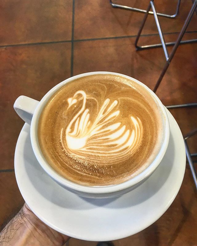 folks, it&rsquo;s about that time of year where you ask your barista to cover up their works of art with whipped cream! get to it!
.
.
.
.
#latte #latteart #coffee #cappucino #localcoffee #eatlocal #localeats #tucsoncoffee #coffeetime #coffeeart #tuc
