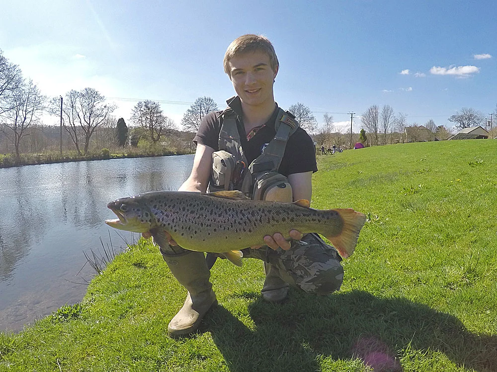 Will Scripps Brown Trout
