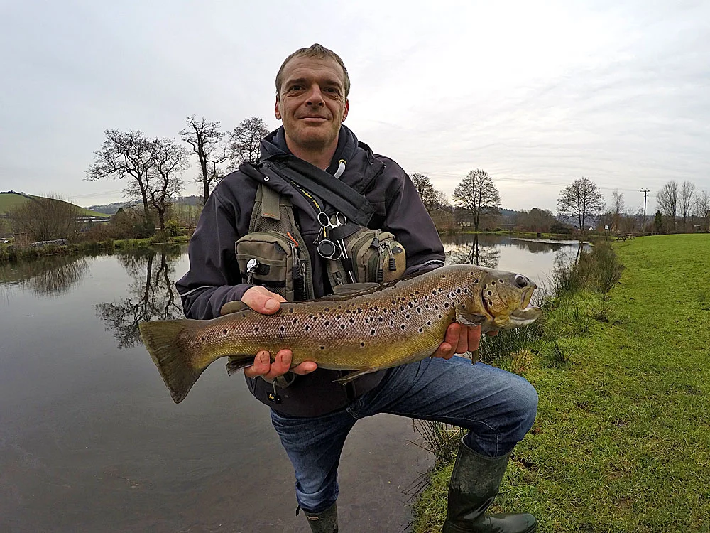 Fin perfect Brown Trout