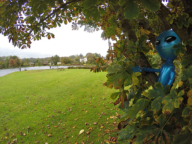 Even aliens have been checking out what has been going on at Exe Valley Fishery recently!