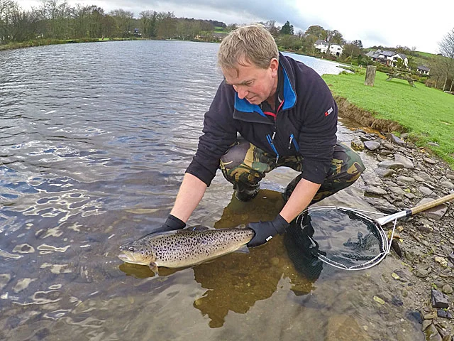 Fred stocks a new tagged fish into Anchor Lake, Exe Valley Fishery, November 2015