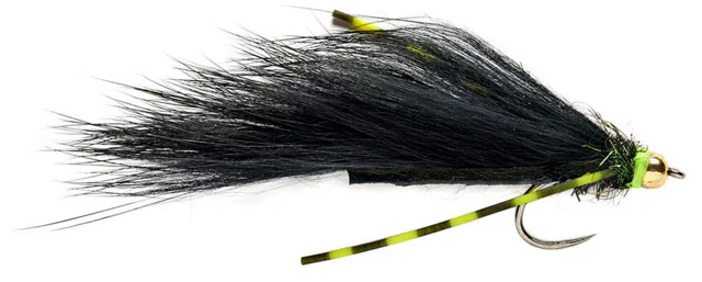 Full of movement - Flexi Black Zonker