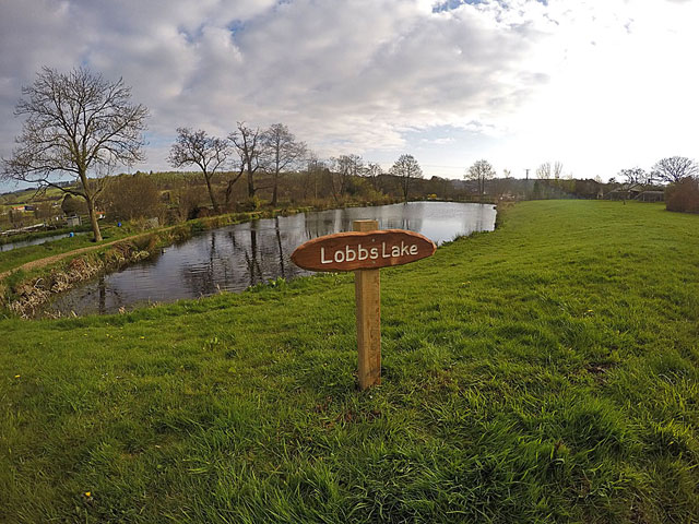 ... and Lobbs! We think they are very eye catching and would like to thank Rob of Anstey Gates for his superb craftsmanship. If you need a wooden sign call him on 07816 966494