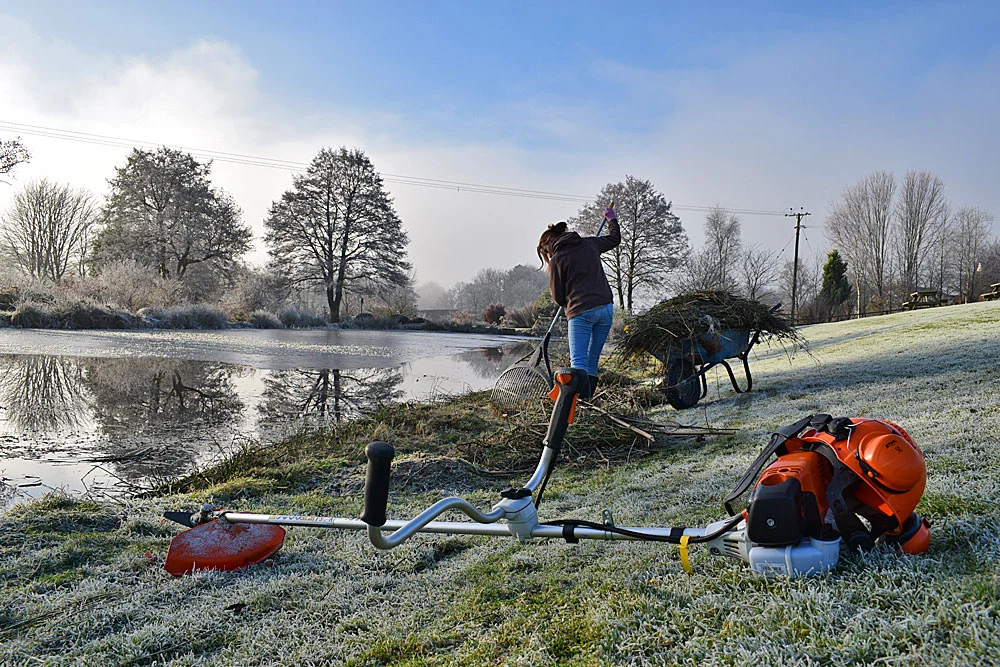 The banks on Lobbs Lake are now nice and clear after recent clearing work. An ideal venue for young rods this Christmas.