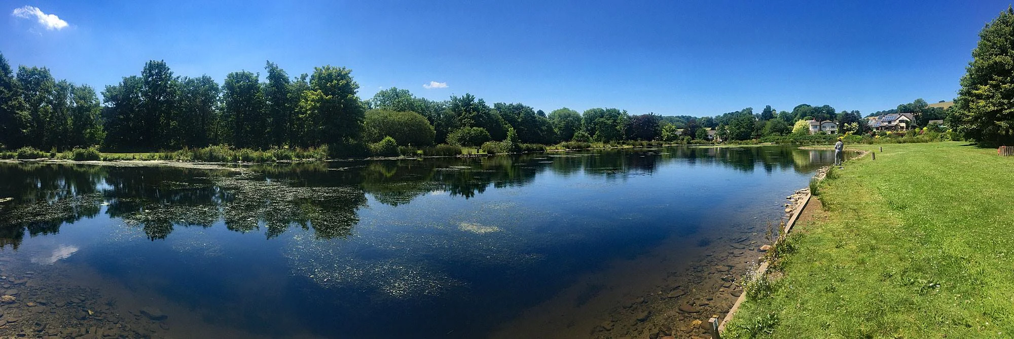 The weed needs to be cleared ... but look ... at last ... no algae! This picture was taken in late June 2018.