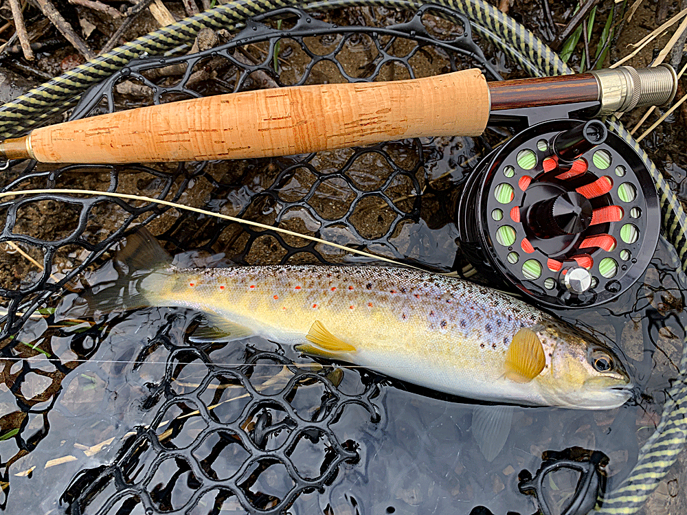 Stunning Wild Brown Trout caught on the River Exe. The season is now open and we offer limited day tickets on this exclusive private beat