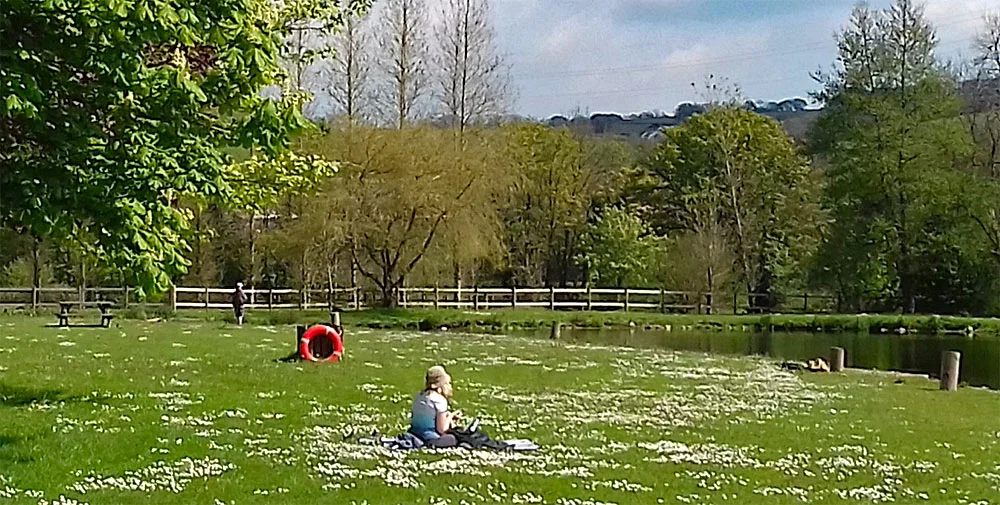 You don’t have to be an angler to enjoy the lakes. Why not read a book amongst the daisies or paint the view whilst enjoying a lovely picnic by the lakes?