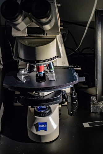 Zeiss Axioscope