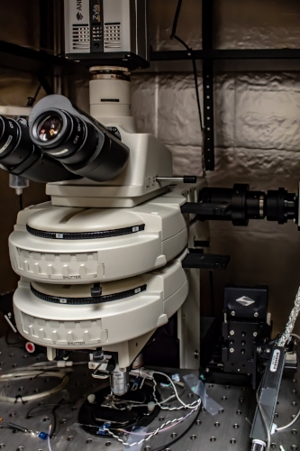 Nikon equipped with Andor Zyla and Polygon400 Photostimulator