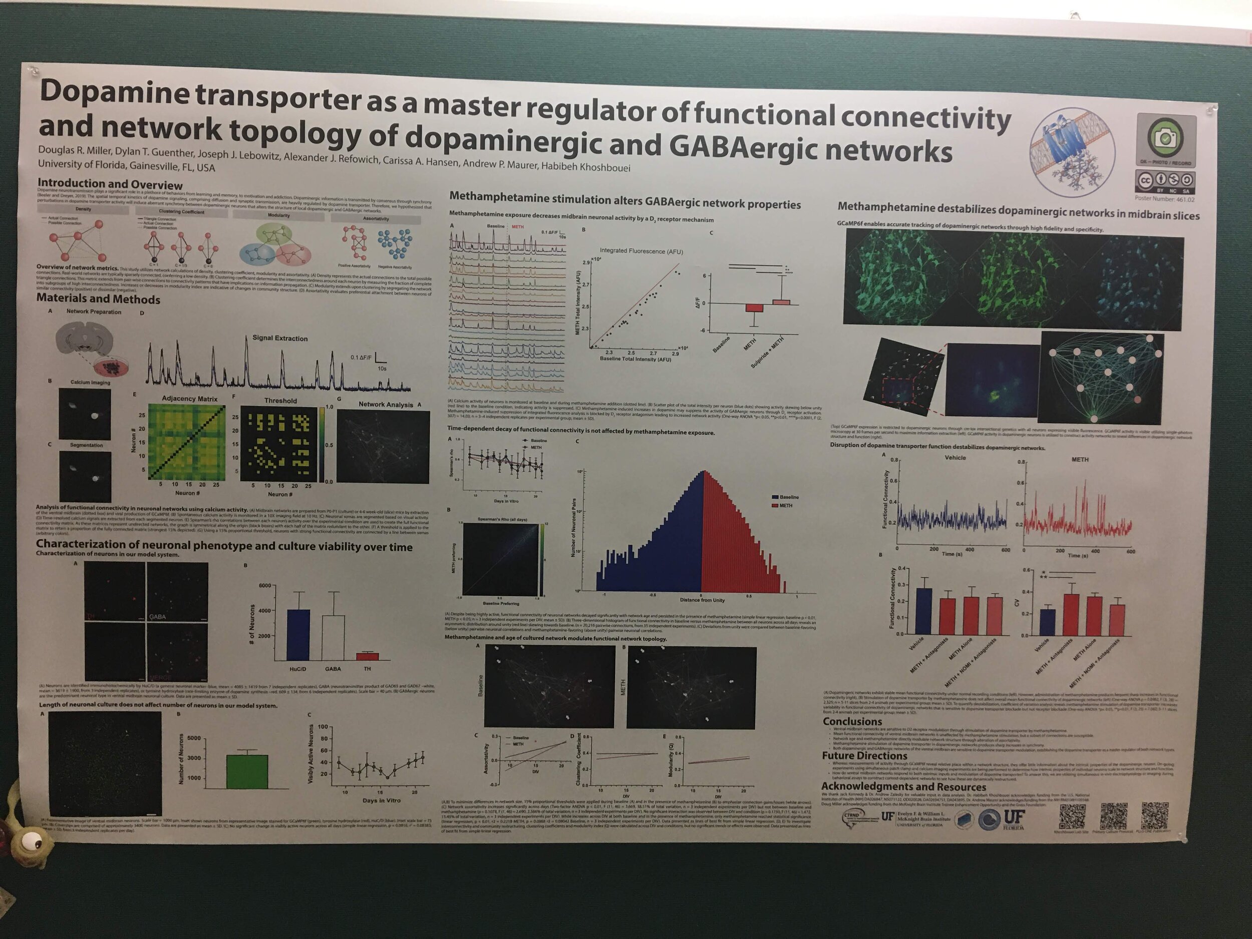 Dopamine transporter as a master regulator.jpg