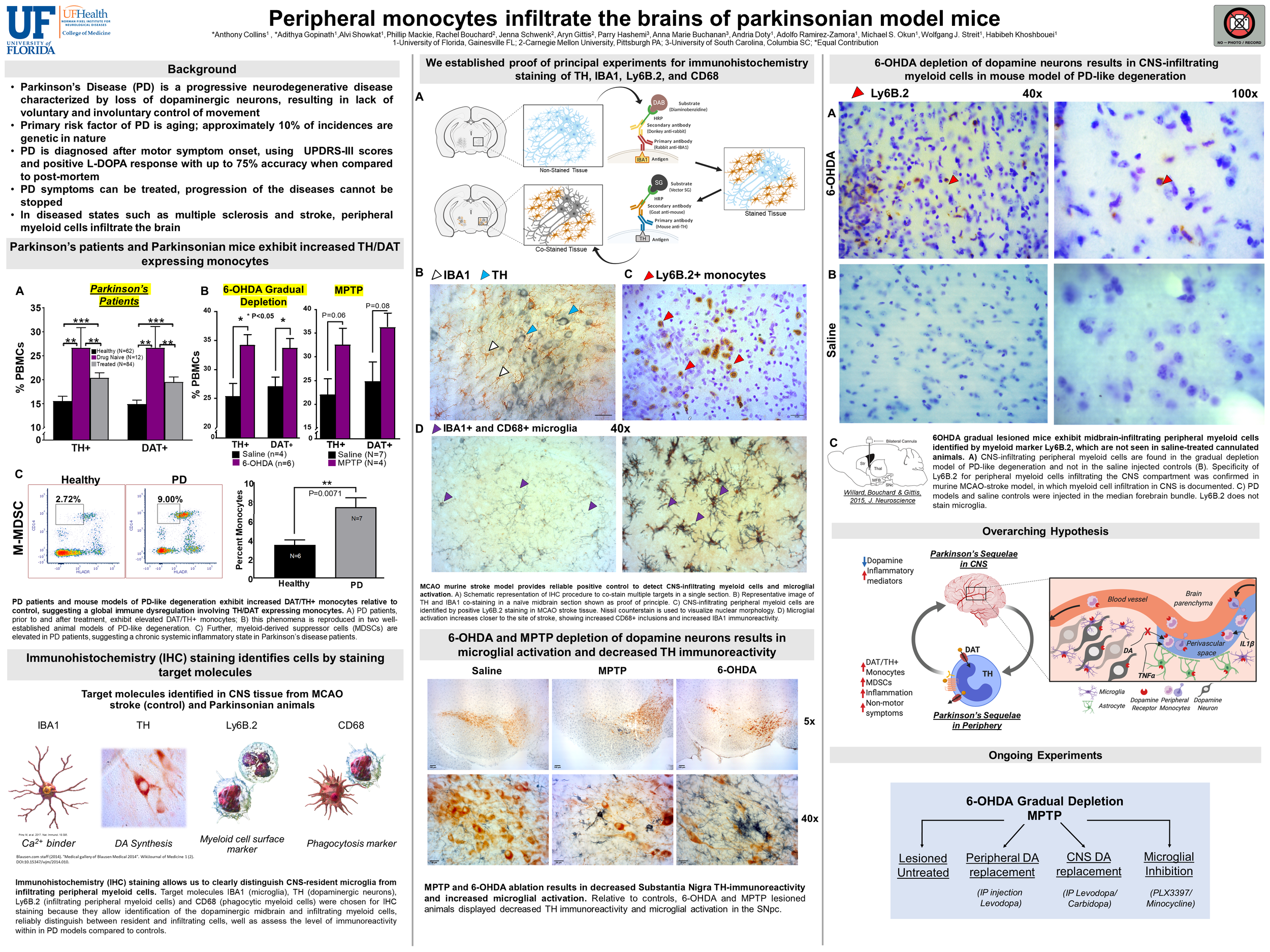 Peripheral monocytes mouse model 2019.png