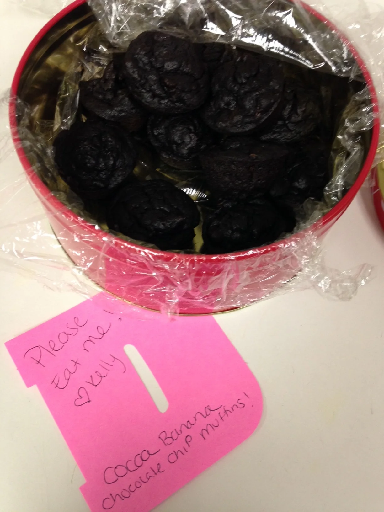 Recipe Feature: Cocoa Banana Chocolate Chip Muffins (Flourless)