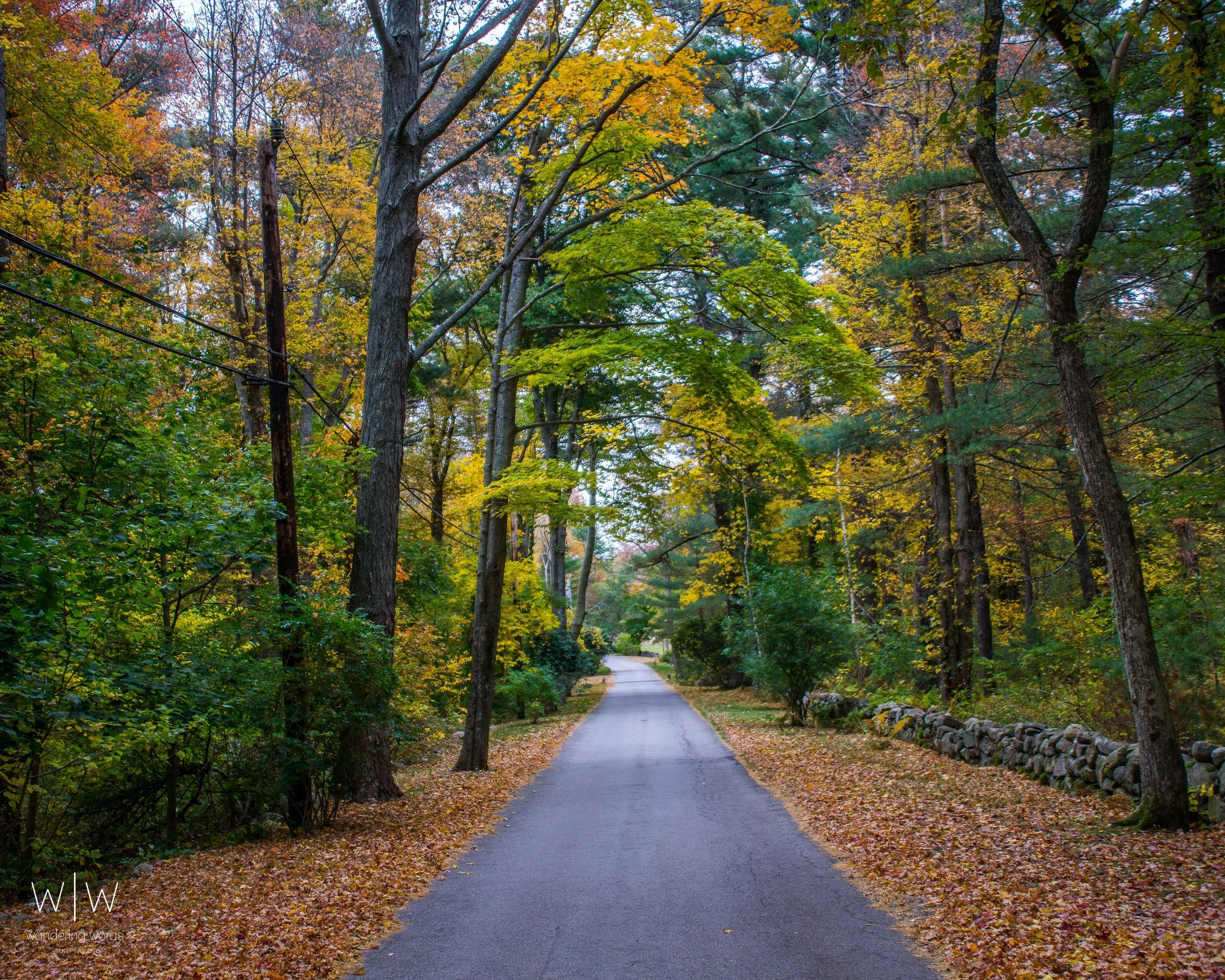 fall street_.jpg