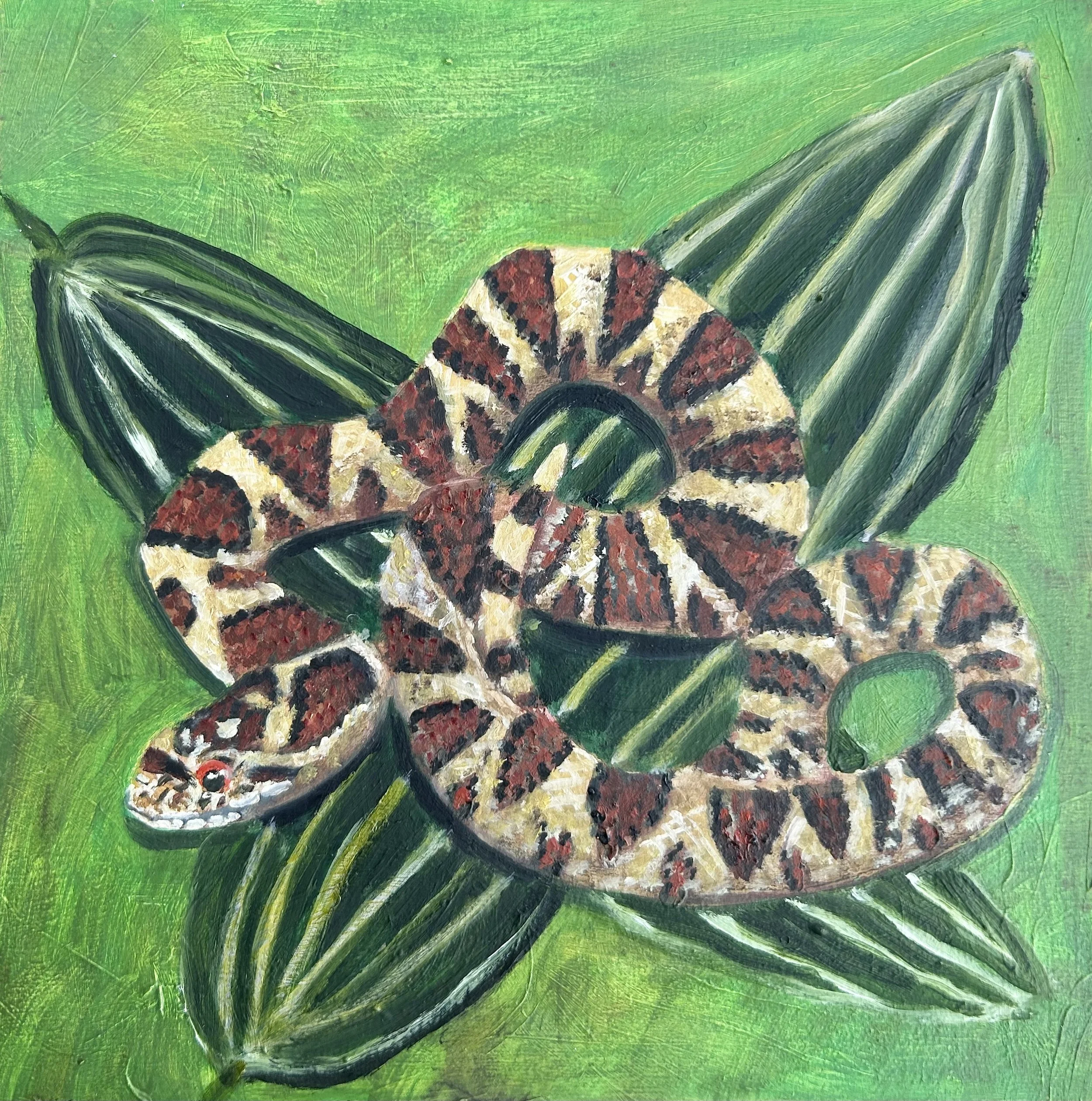 Eastern milk snake and lady slipper orchid leaves