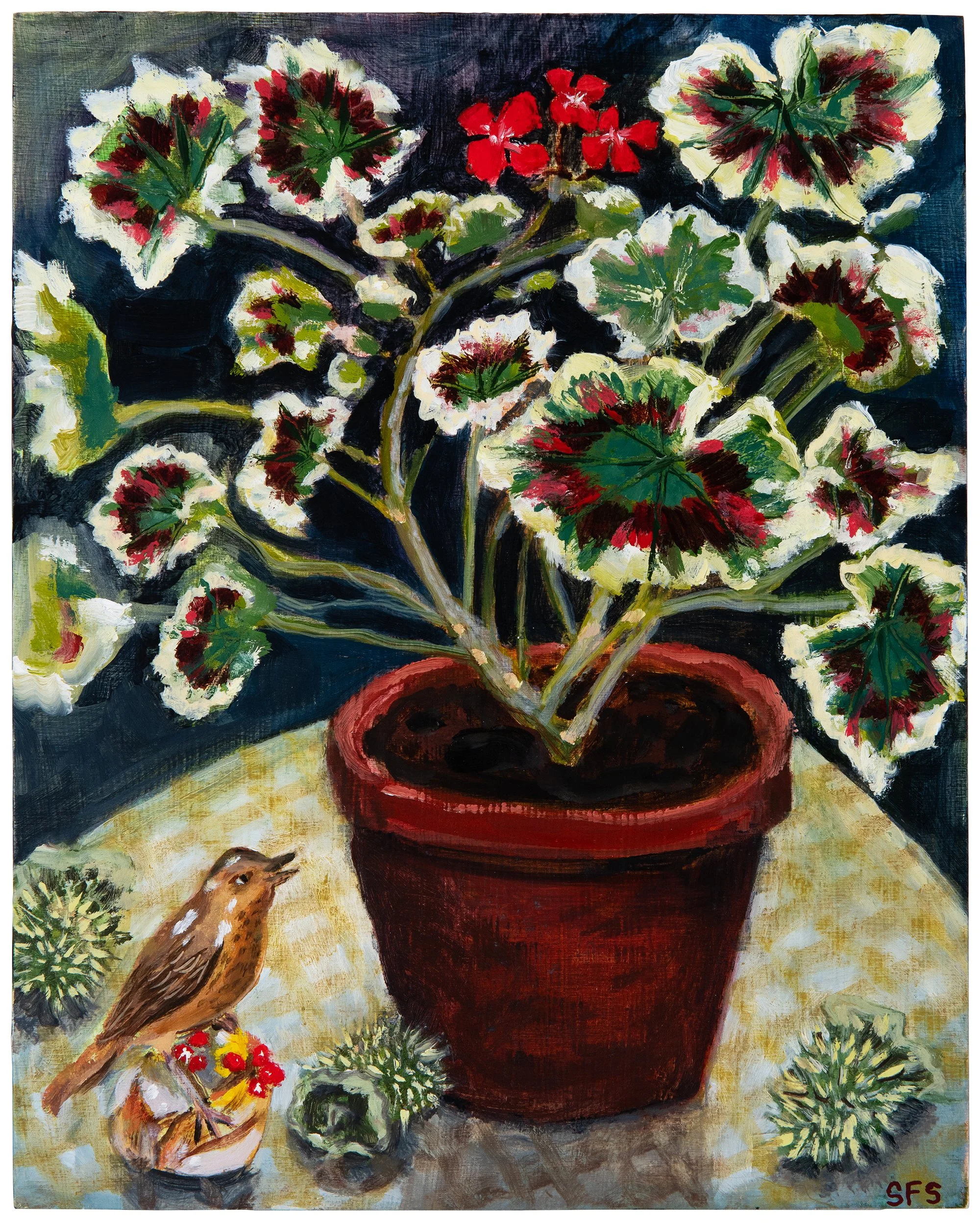 Overwinter geranium