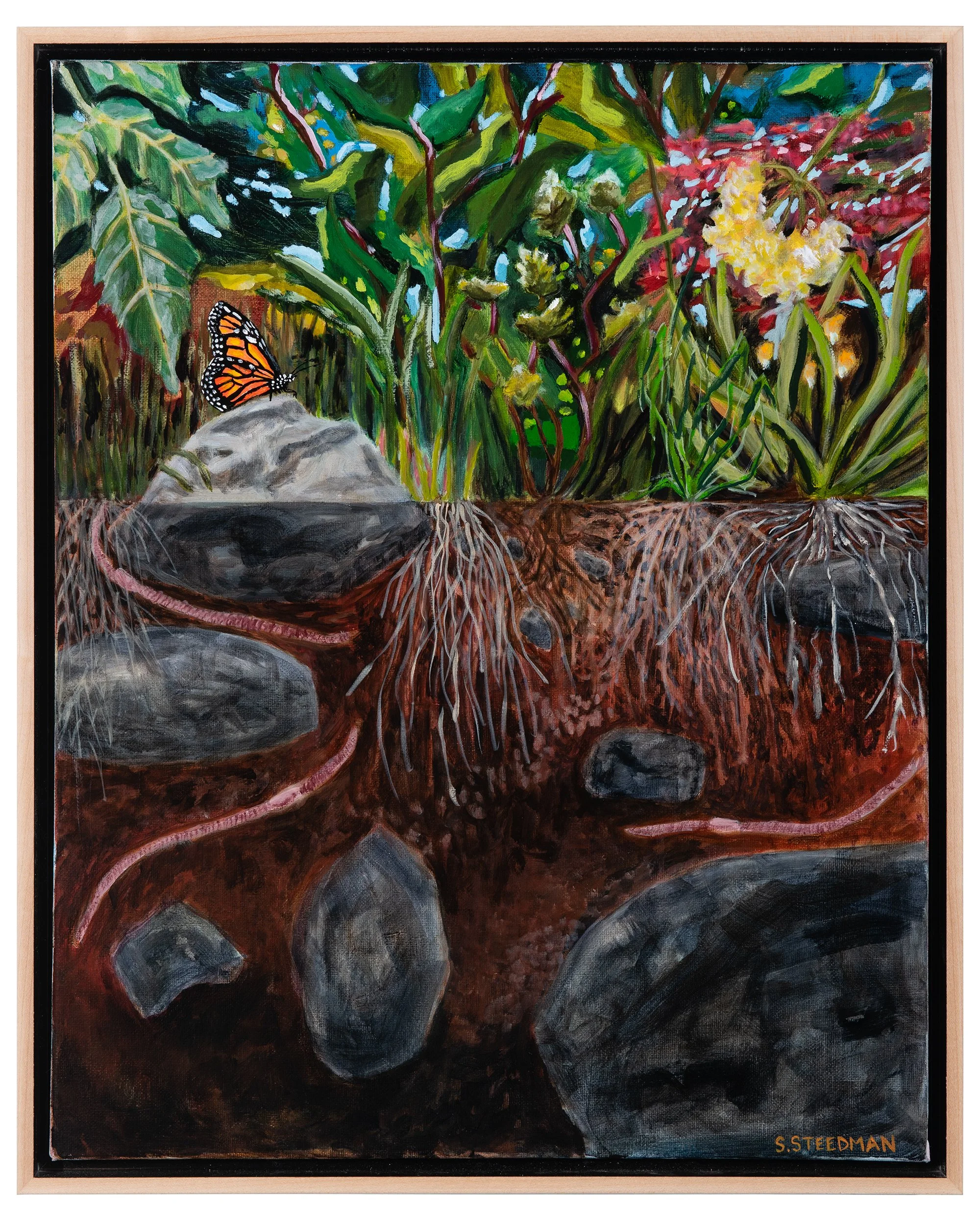 Monarch and the spell of soil 
