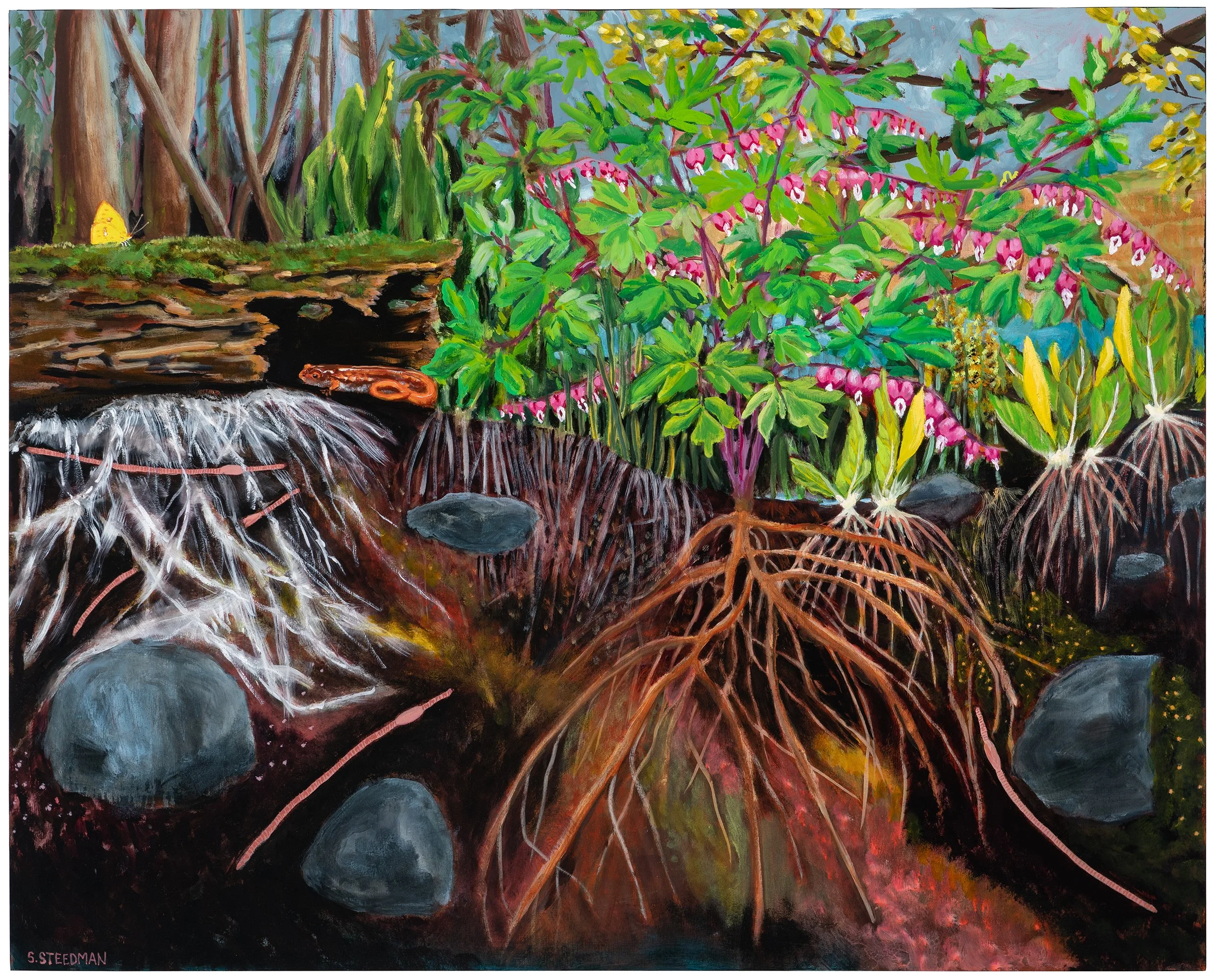 Roots with salamander - Sarah Steedman - Bret Woodard Photography.jpeg
