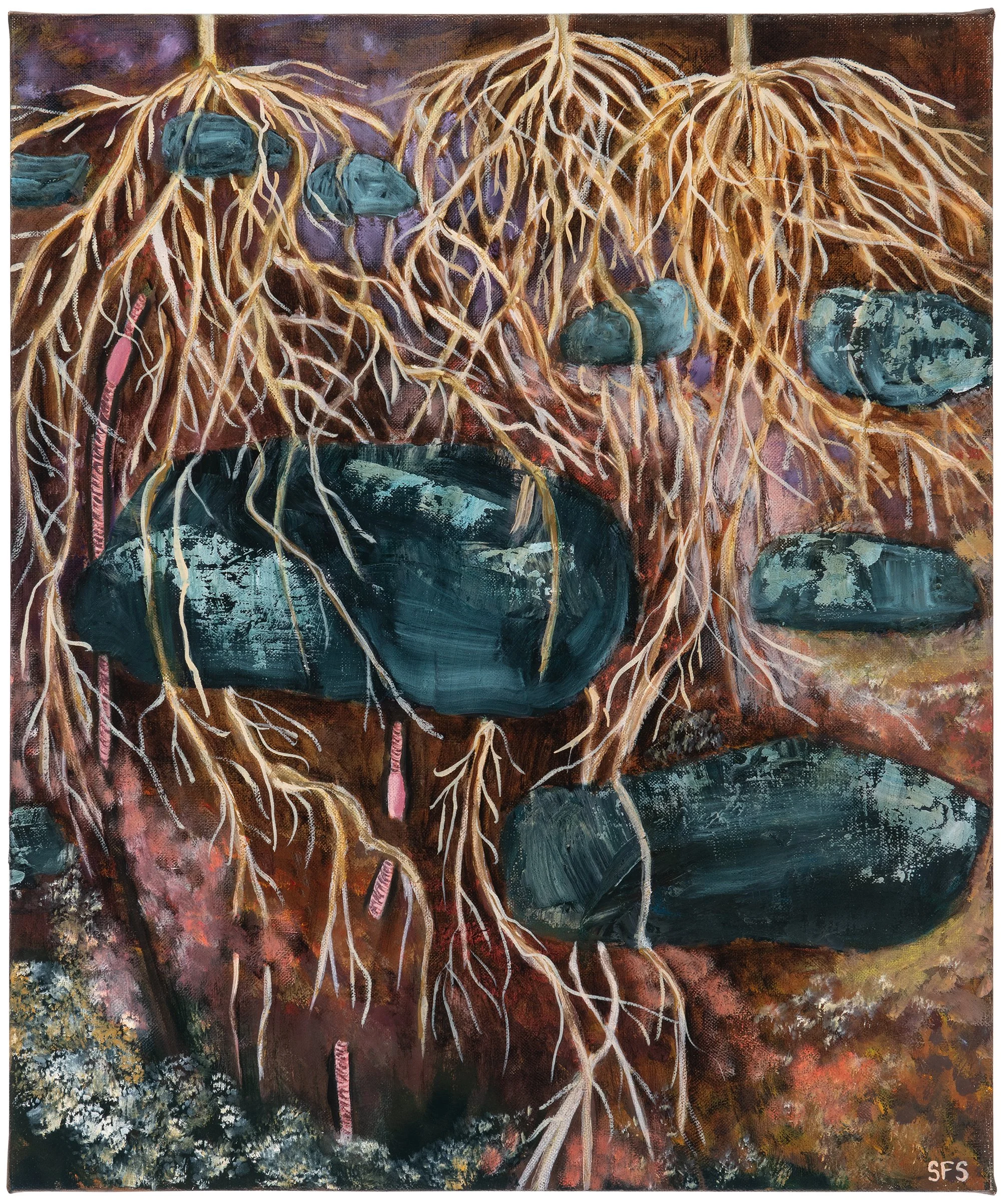 Roots and rocks - Sarah Steedman - Bret Woodard Photography.jpeg